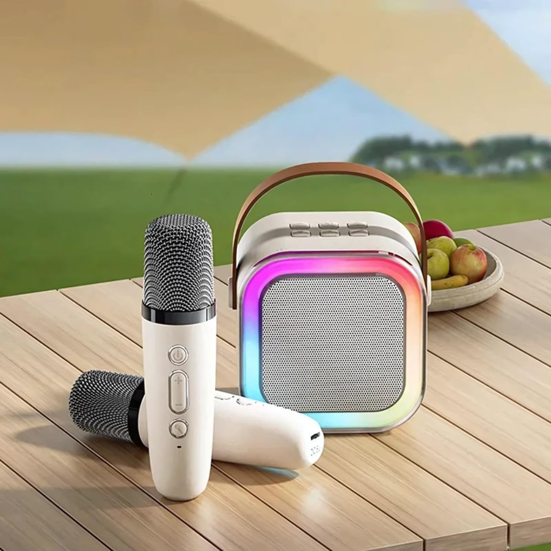 Karaoke Systeem met Draadloze Microfoons