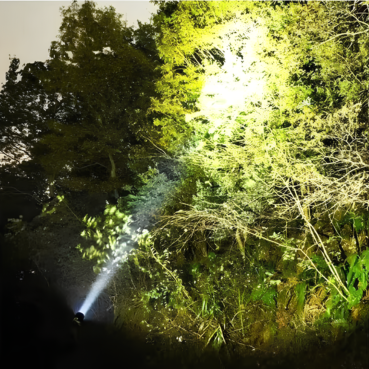 Oplaadbare LED Zaklamp Lange Bereikstraal