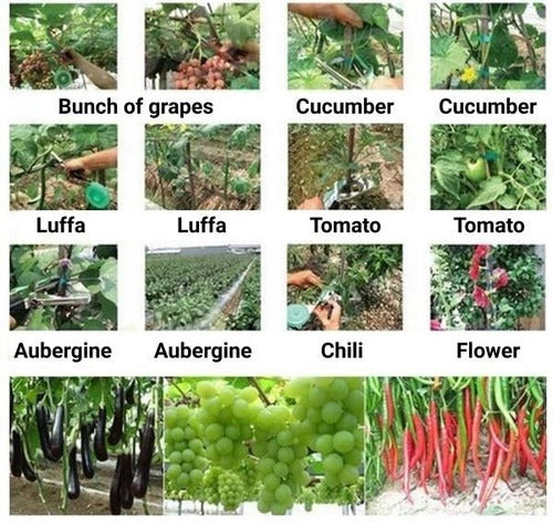 Plantensteunen voor tuin en balkon