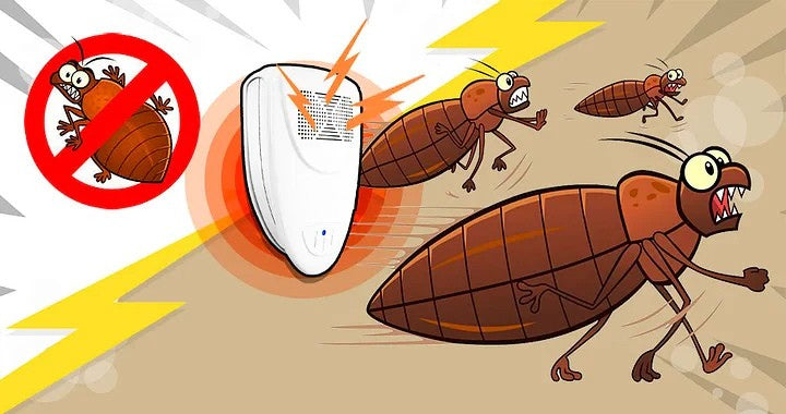 Bedwantsenafschrikker Verwijder Bedwantsen binnen 48 Uur
