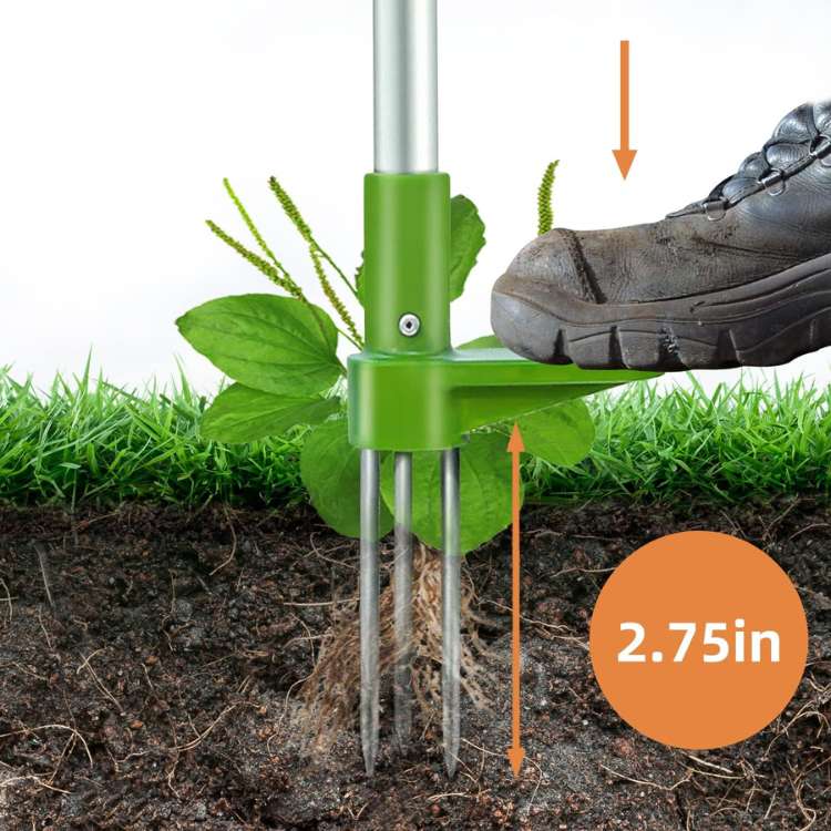 Tuinkruidentrekker Handgereedschap Tuinaccessoire
