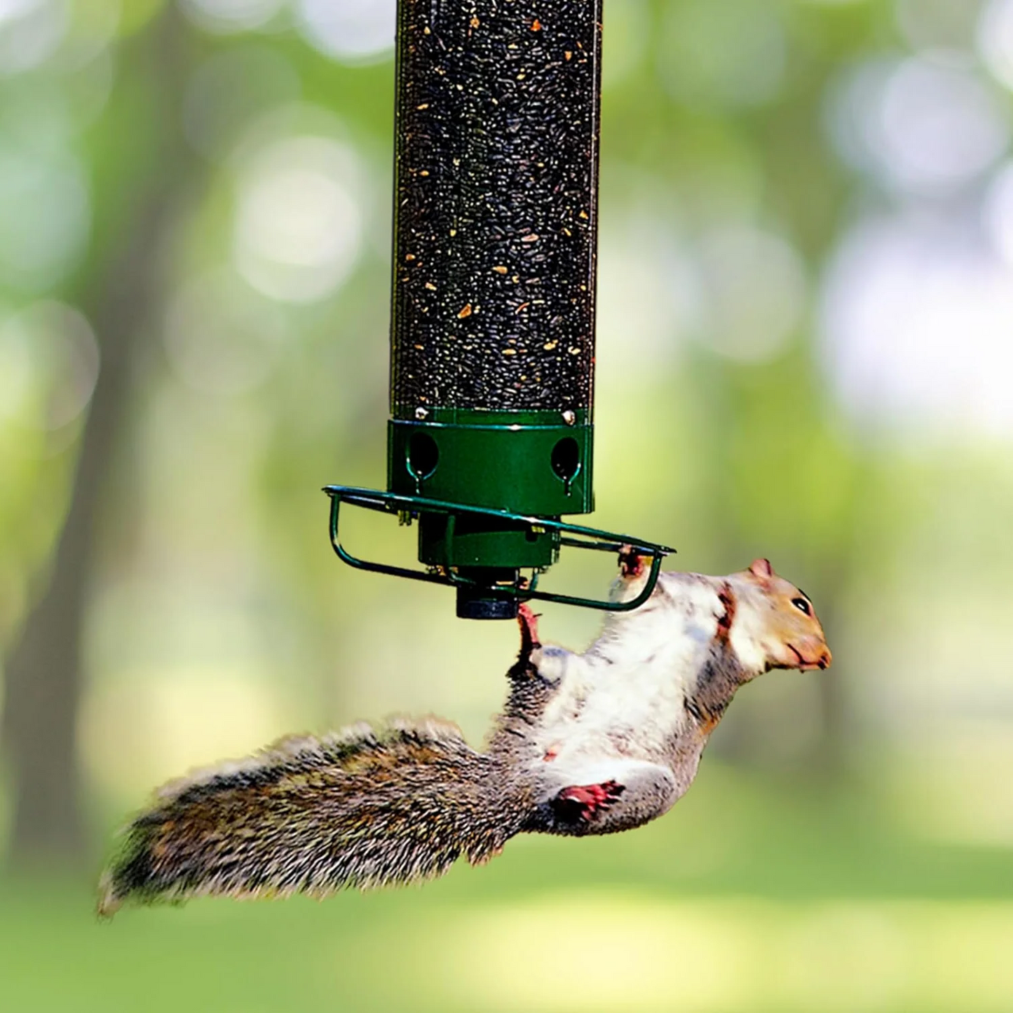 Vogelfeeder Eekhoornbestendig Hangvoeder Buiten
