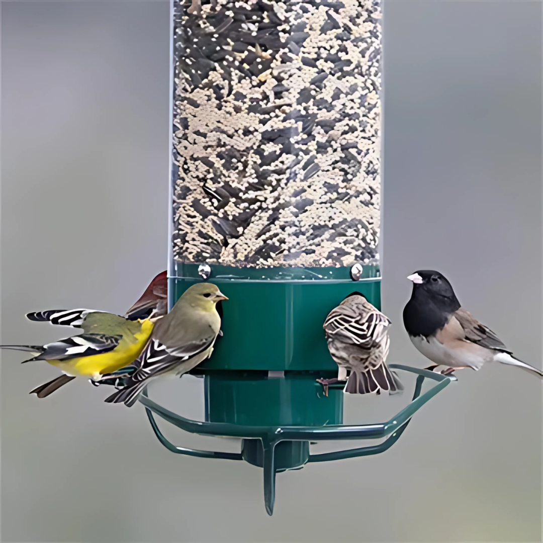 Vogelfeeder Eekhoornbestendig Hangvoeder Buiten
