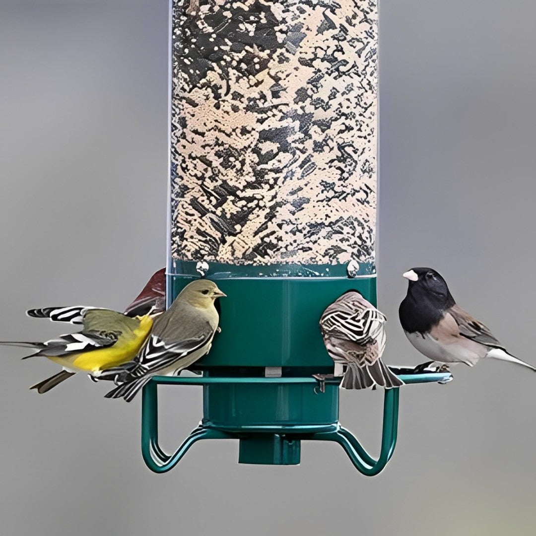 Eekhoornbestendige Vogelvoederhouder