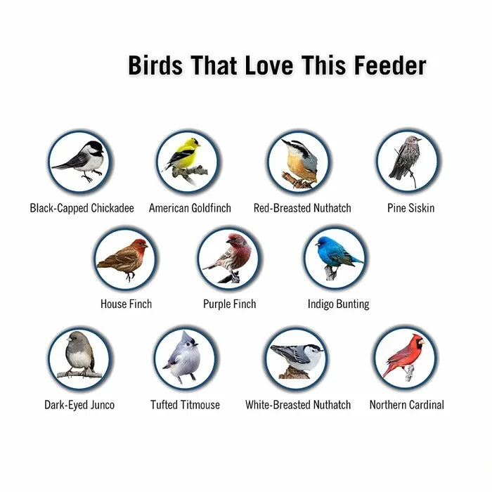 Eekhoornbestendige Vogelvoederhouder