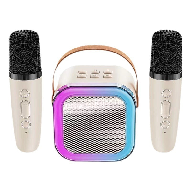 Karaoke Systeem met Draadloze Microfoons