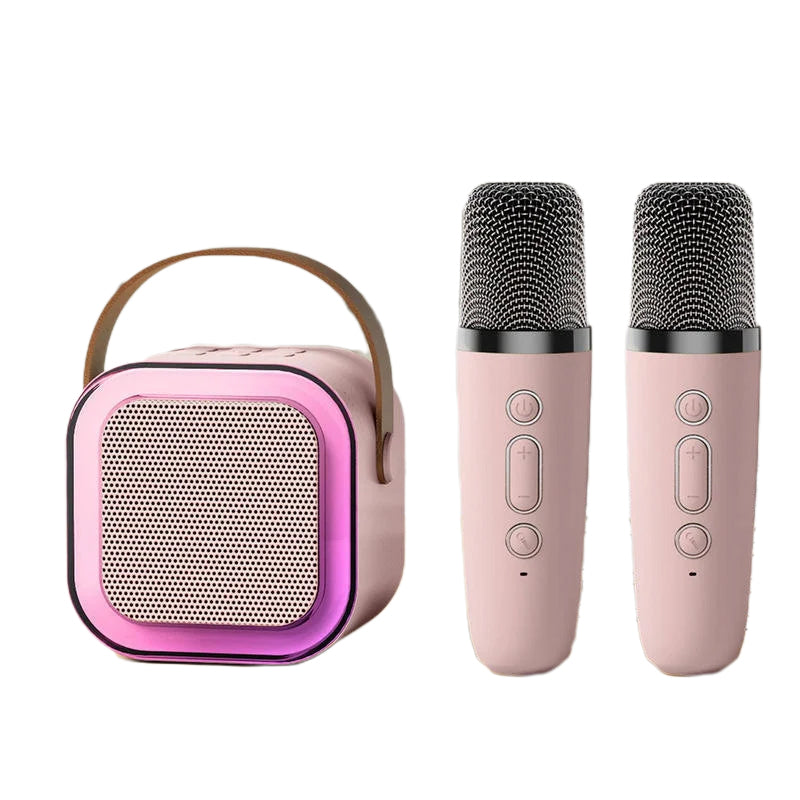 Karaoke Systeem met Draadloze Microfoons