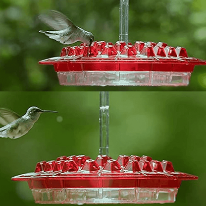 Hummingbird Voederhuisje Hangend Mierenproof