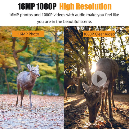 1080P Nachtzicht Trail Camera