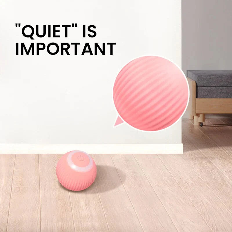 2 in 1 Simulatie Interactief Kat Speelgoed