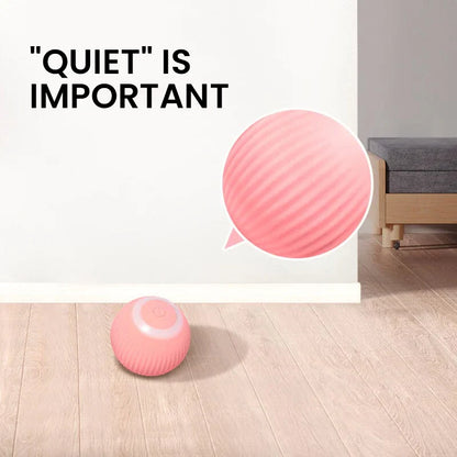 2 in 1 Simulatie Interactief Kat Speelgoed