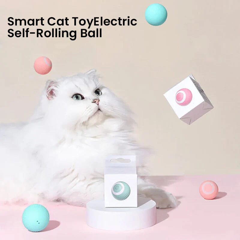2 in 1 Simulatie Interactief Kat Speelgoed