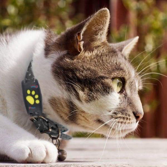 GPS Kat Tracker Real-Time Locatieapparaat Geofencing Alert