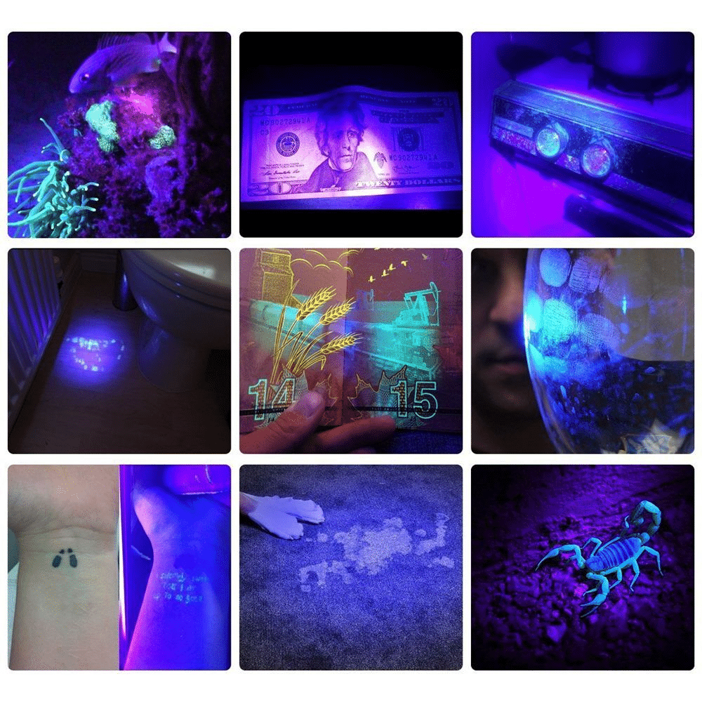 21 LED UV Lamp