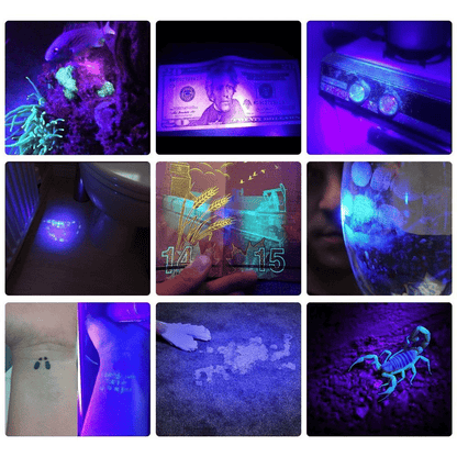 21 LED UV Lamp