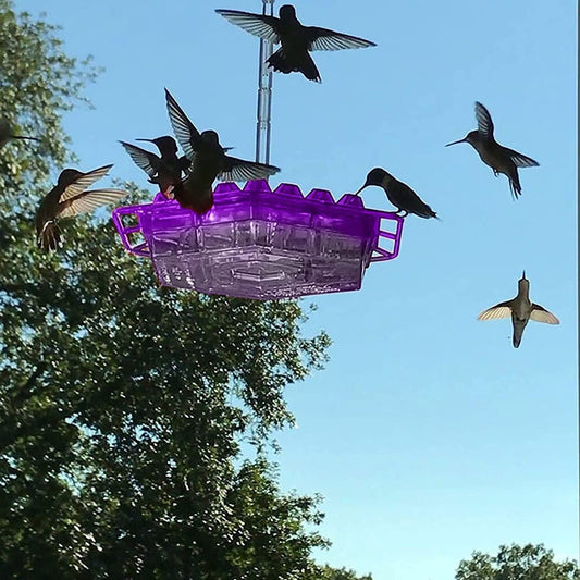 Hummingbird Voederhuisje Hangend Mierenproof