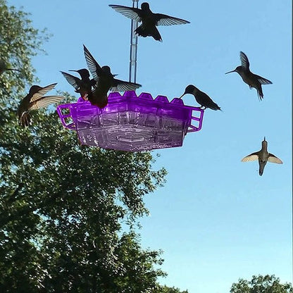 Hummingbird Voederhuisje Hangend Mierenproof