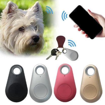 GPS Tracker Huisdieren Waterdicht Locatieapparaat