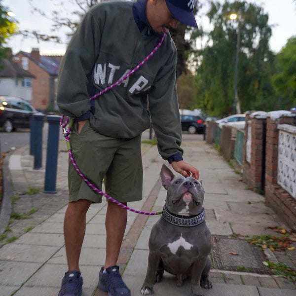 Handsfree Hondenriem Verstelbaar Draagband Hondenlijn
