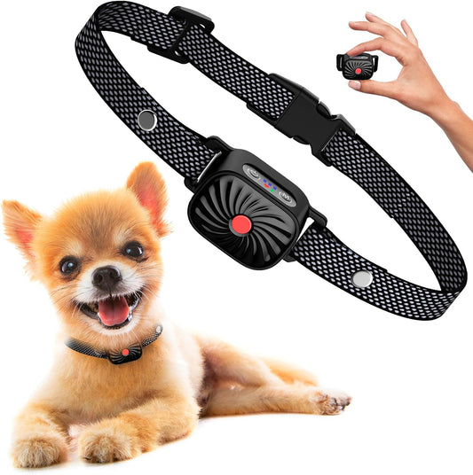 Blaasband Kleine Honden Anti-Blaasband