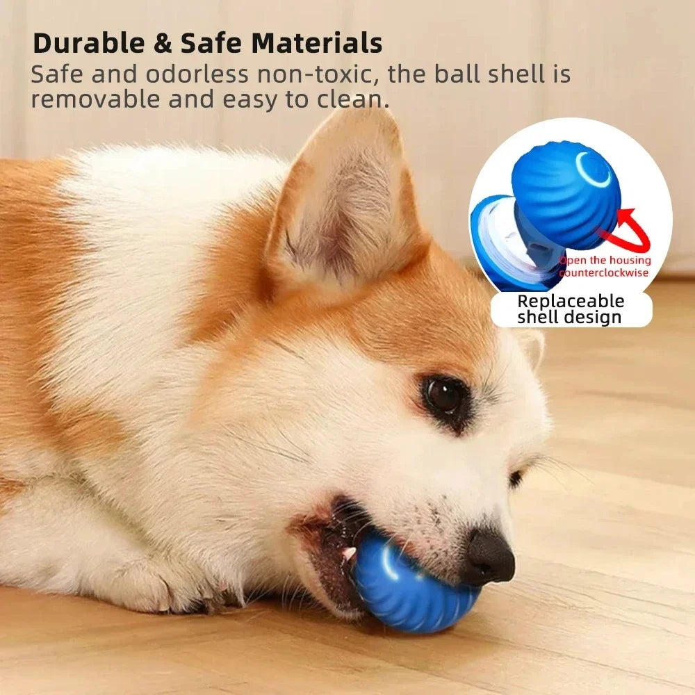 Actieve Rollende Bal Anti-Angst Automatische Bal