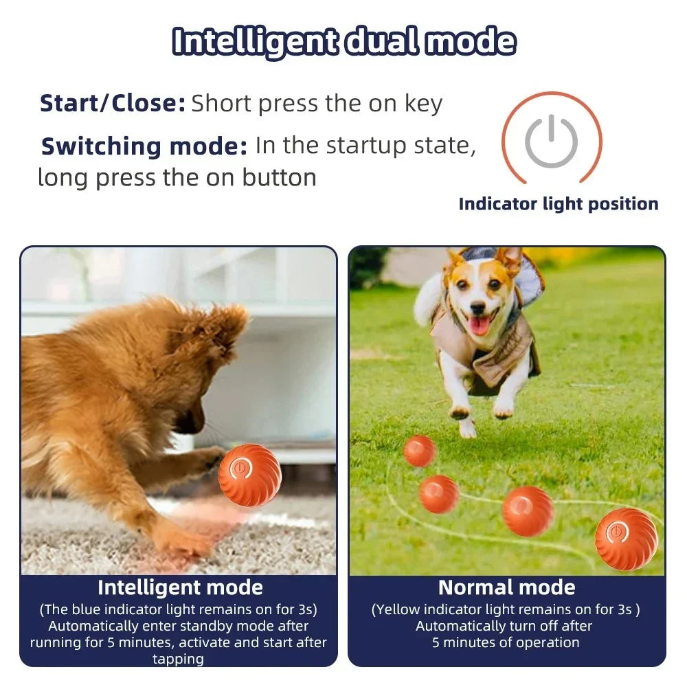 Actieve Rollende Bal Anti-Angst Automatische Bal