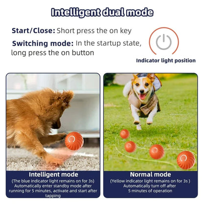 Actieve Rollende Bal Anti-Angst Automatische Bal