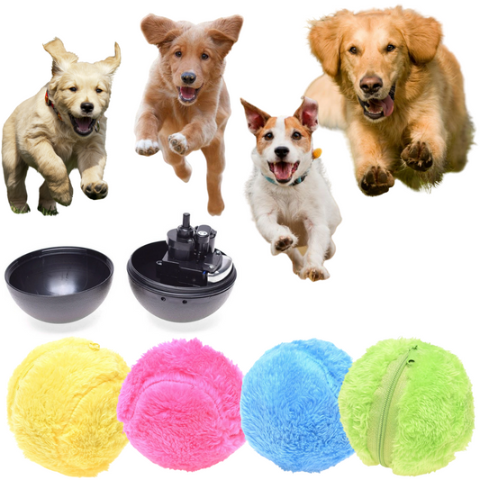 Actieve Rollende Bal Speelgoed 4 Kleuren