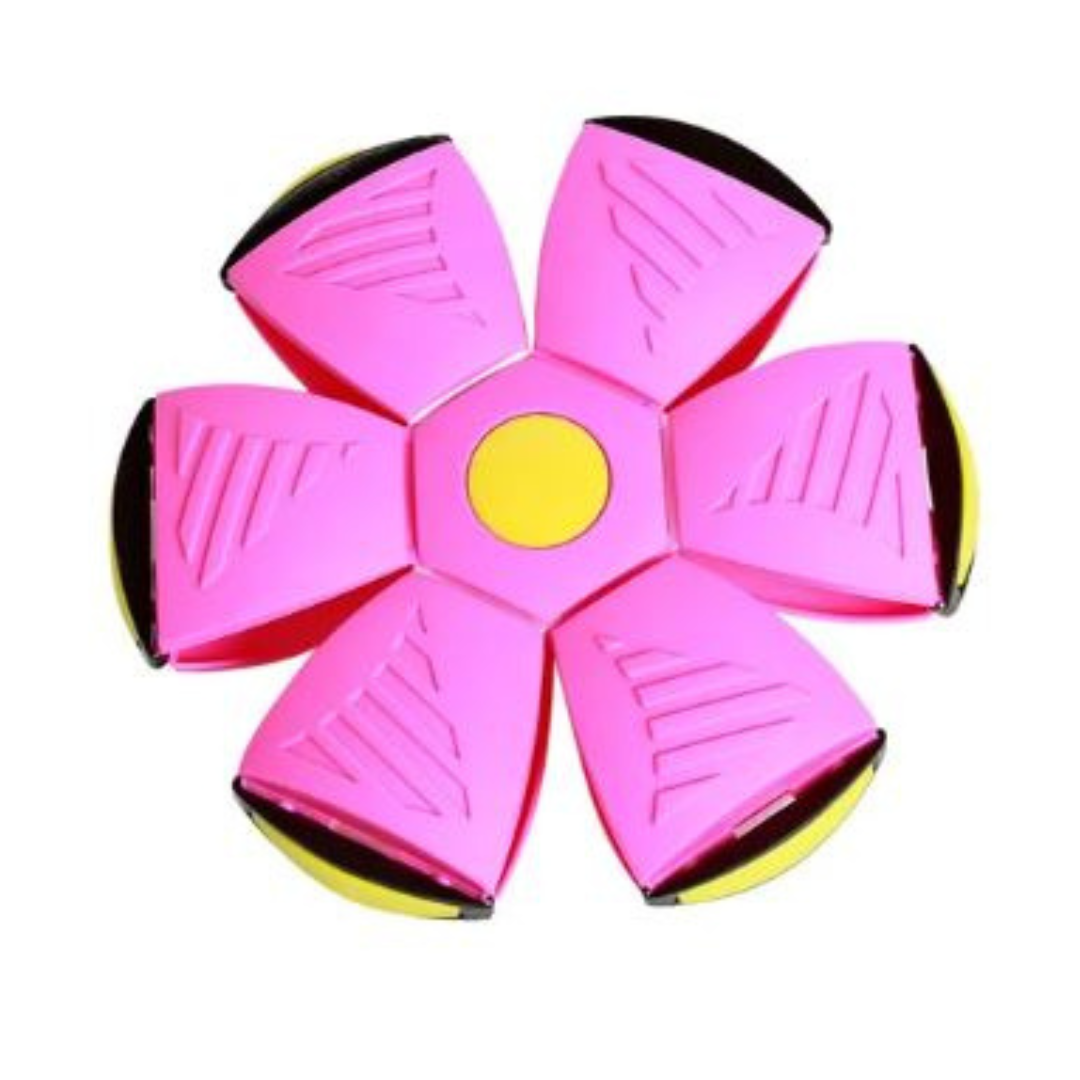 AeroDisc Pro Voetbal