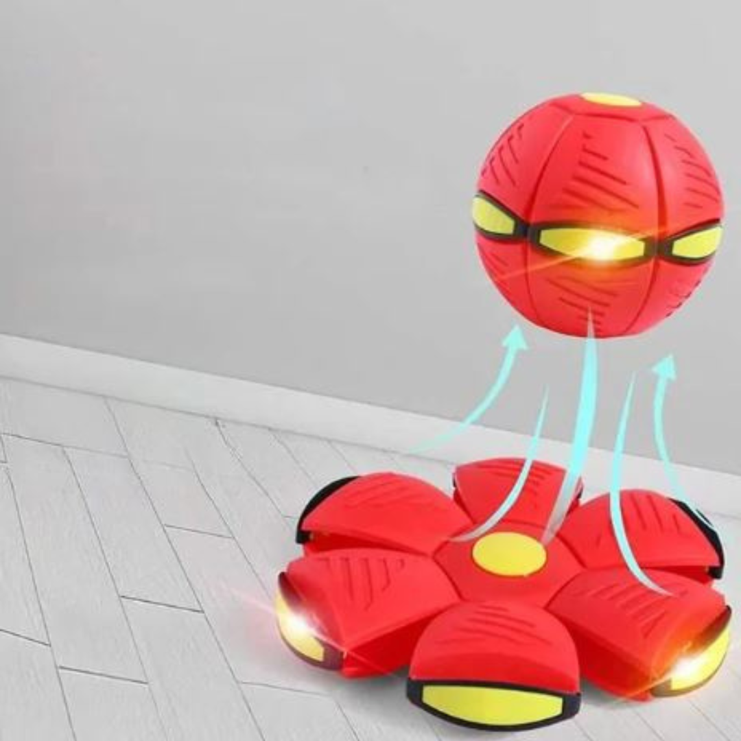 AeroDisc Pro Voetbal