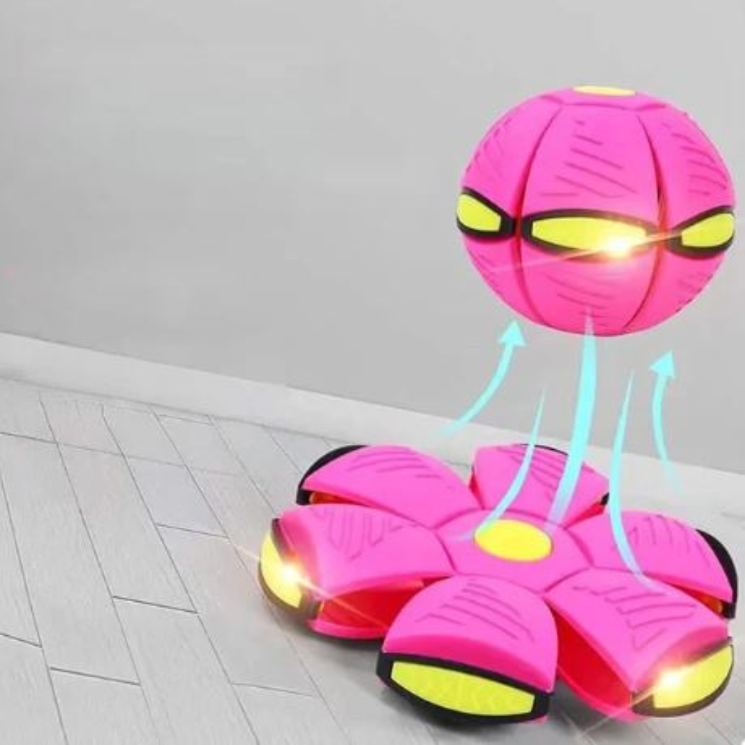 AeroDisc Pro Voetbal