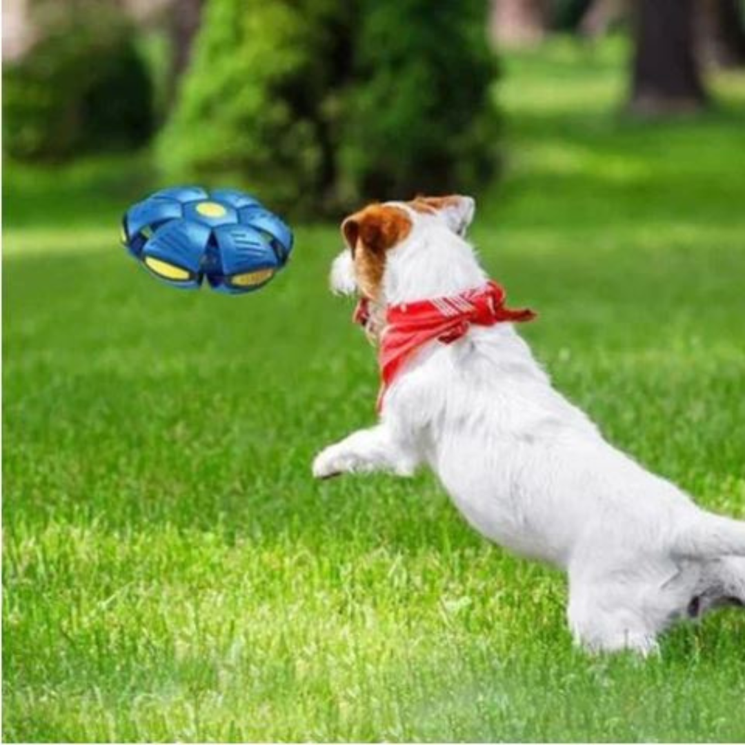 AeroDisc Pro Voetbal