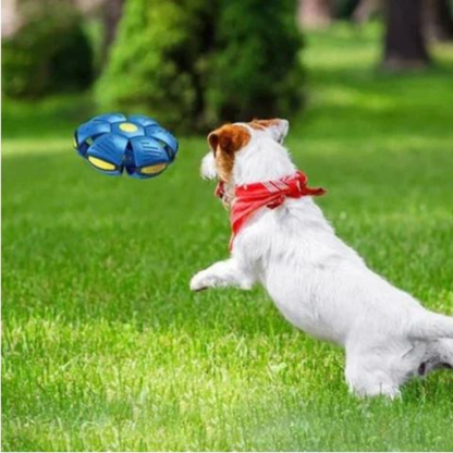 AeroDisc Pro Voetbal