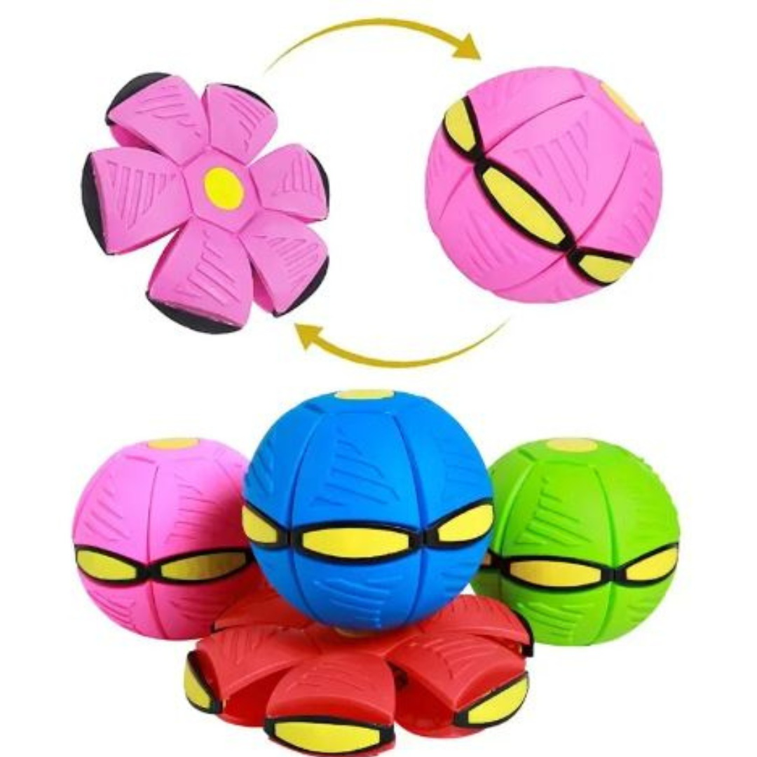 AeroDisc Pro Voetbal
