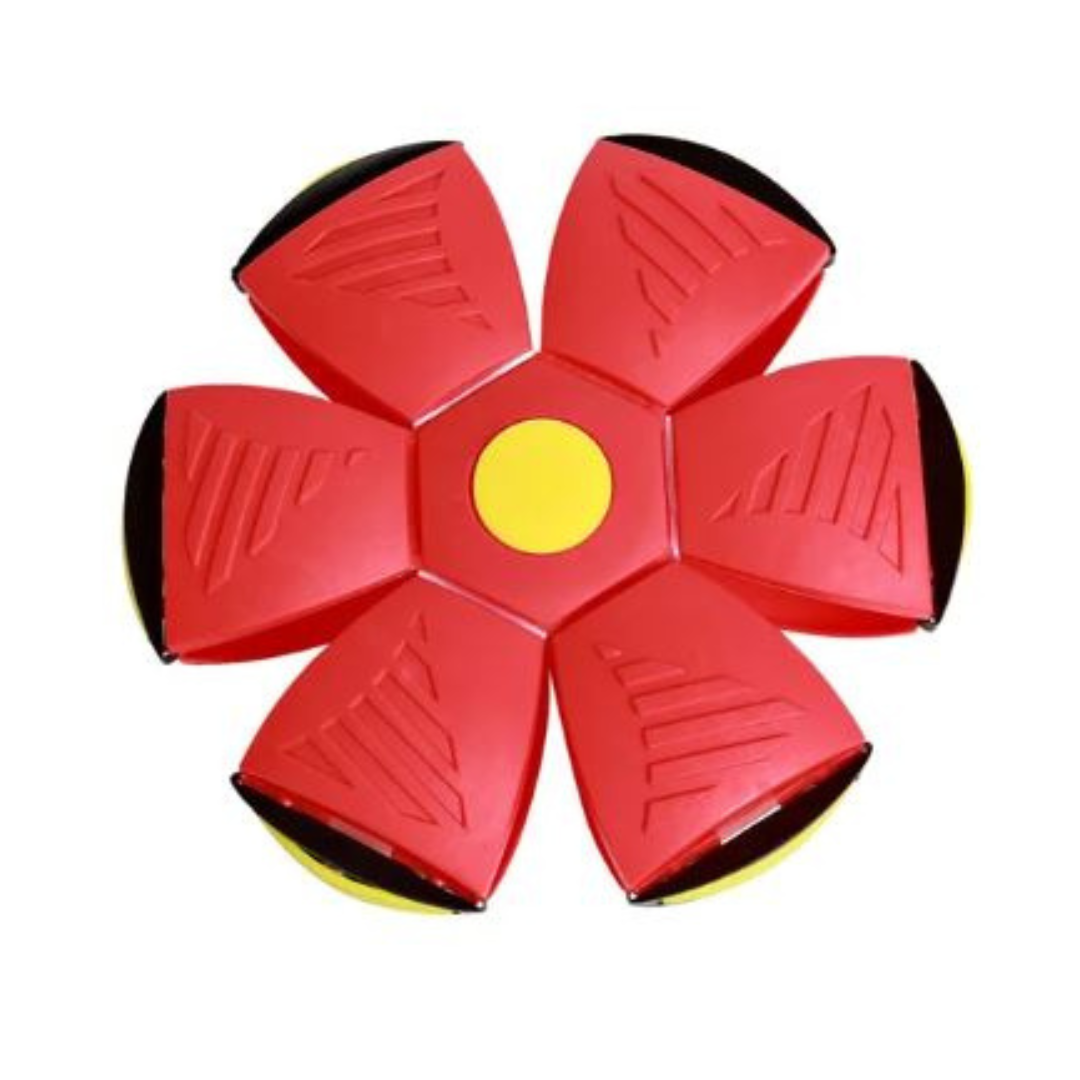AeroDisc Pro Voetbal