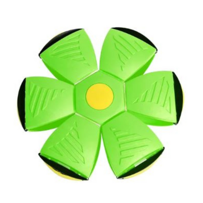 AeroDisc Pro Voetbal