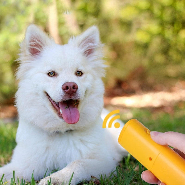 Anti-Blaasdoos Honden
