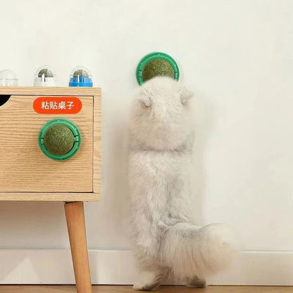 Catnip Ball 4 Stuks