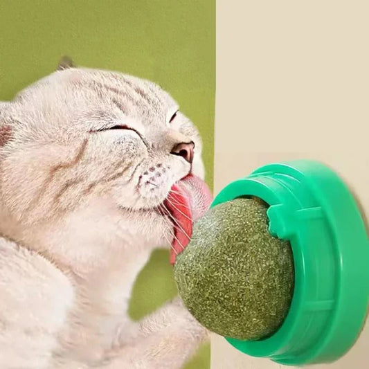 Catnip Ball 4 Stuks