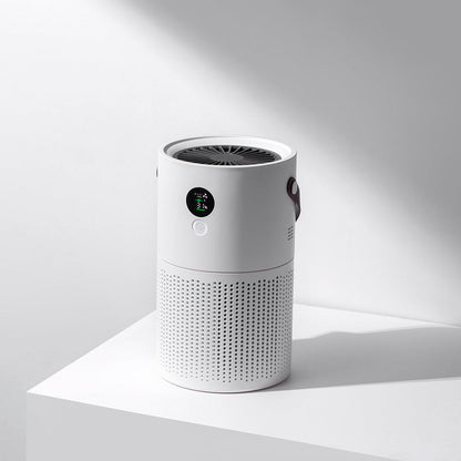 Draagbare Luchtreiniger HEPA Filter