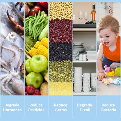 Fruit- en Groente Wasmachine voor Groenten en Fruit