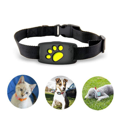 GPS Kattenhalsband