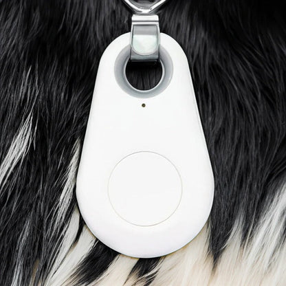 GPS Tracker Huisdieren Waterdicht