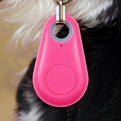 GPS Tracker Huisdieren Waterdicht
