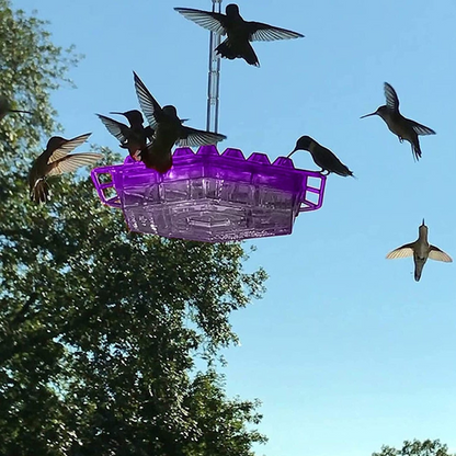 Hangende Kolibrie Voederhouder