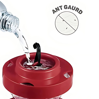 Hangende Nectarvoeder voor Kolibries