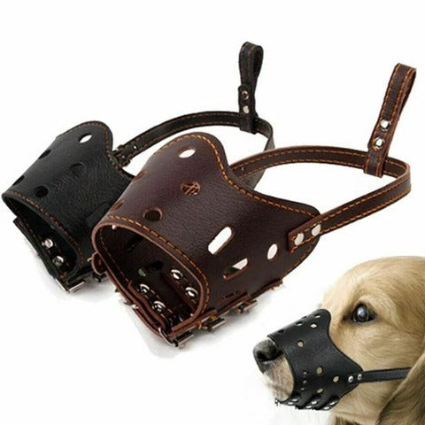 Hond Bijt Muizenkap Mondbescherming