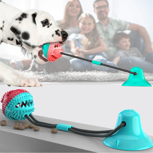 Hond Speelgoed Zuigvorm