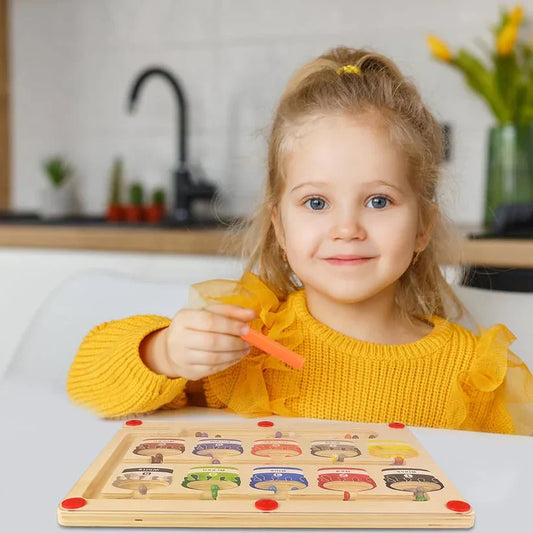 Houten Magnetisch Kleur Matching Speelgoed