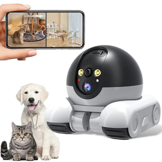 Huisdier Camera Hond Kat Binnenhuis